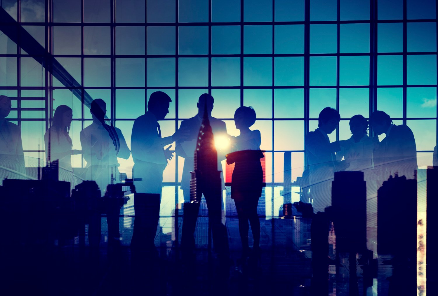 Experienced lawyers advising a client